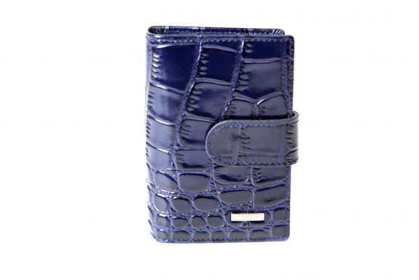 Визитница 018-547-01 Blue